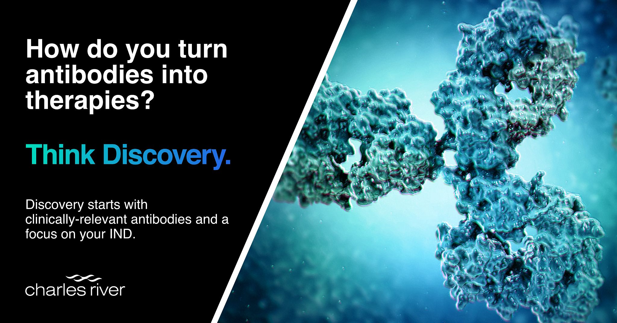 Talk to an Antibody Specialist