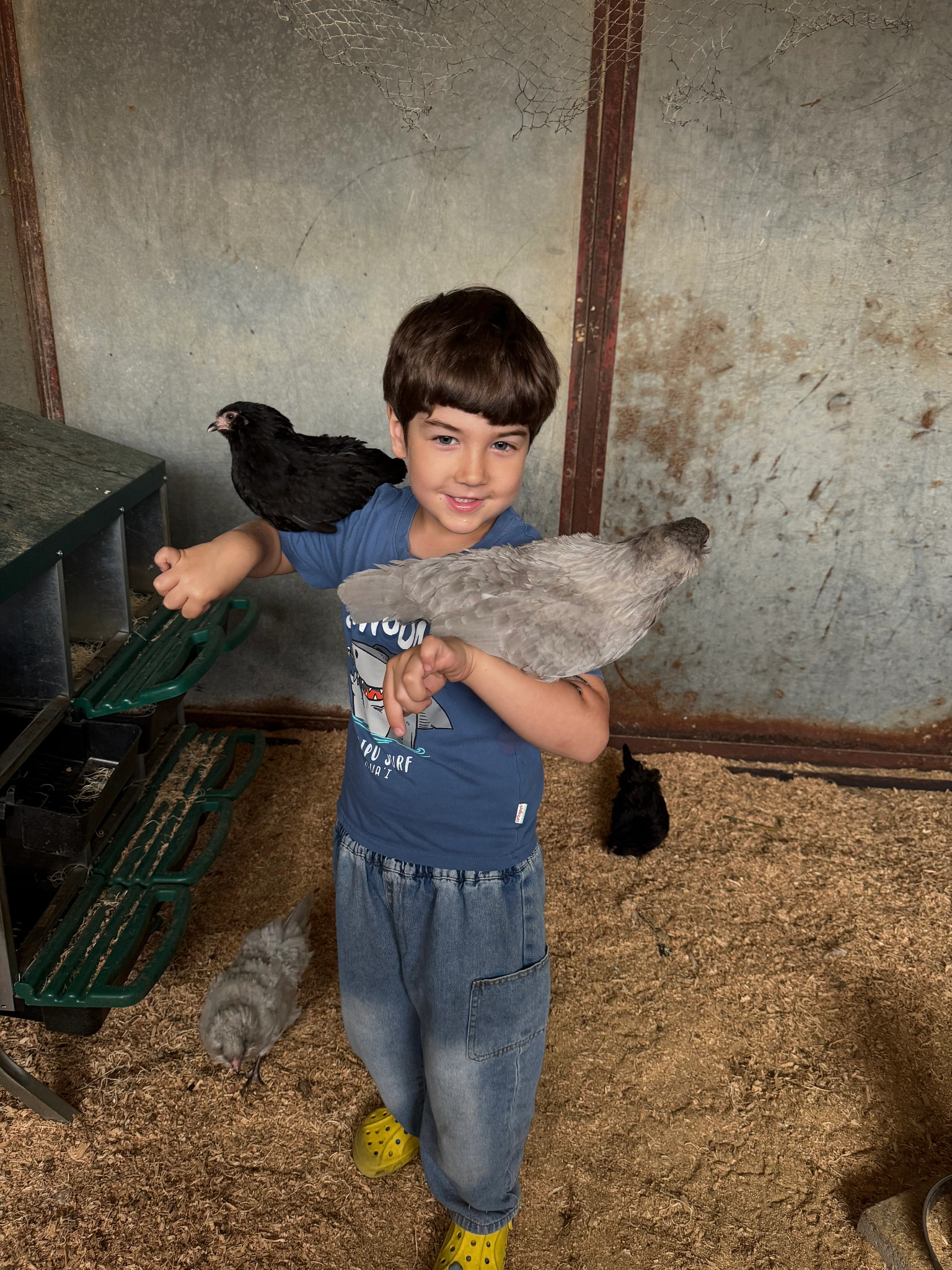 James Miner with favorite hens