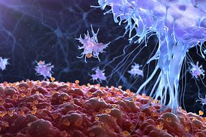 TDAR assays