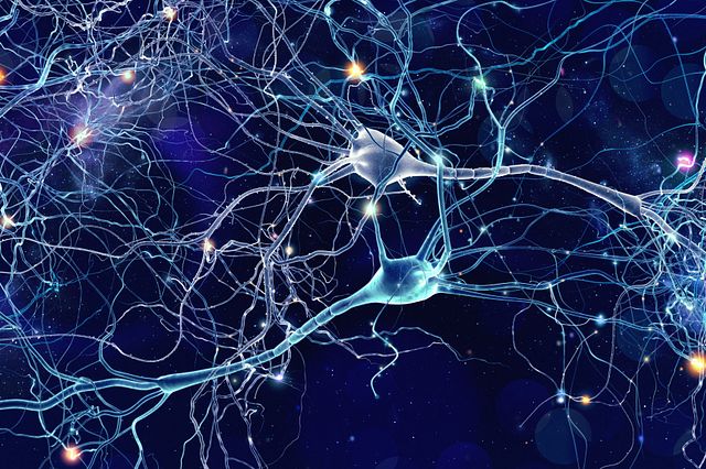 CNS Neurons in CNS disease models