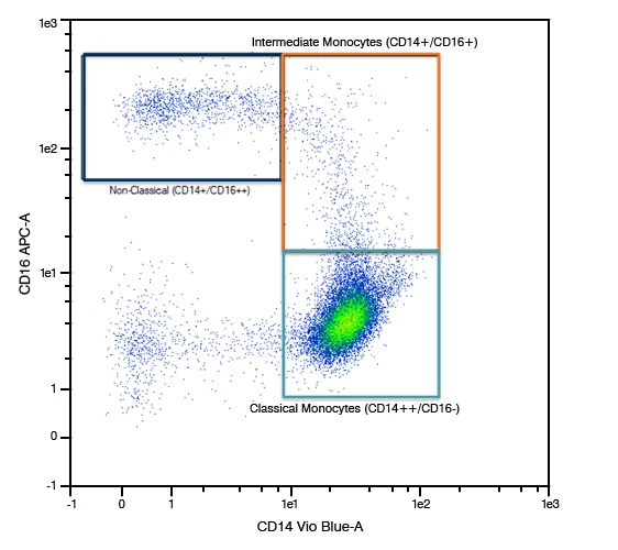 Different monocyte subsets (classical, intermediate and non-classical) are identified via flow cytometry.