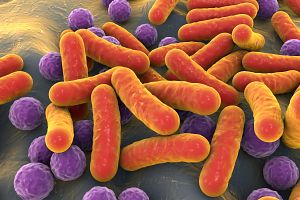 IBD: Microbiome and colitis assays
