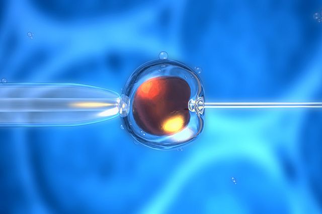 3D rendering of an artificial insemination or in-vitro fertilization of an egg cell,ovum or zygote