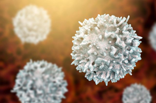 Closeup view of T-cell or B-cell