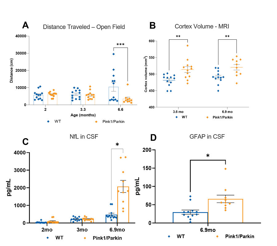 Graphs showing phenotypic data for the PINK1/PARK2 knockout model of Parkinson’s Disease.