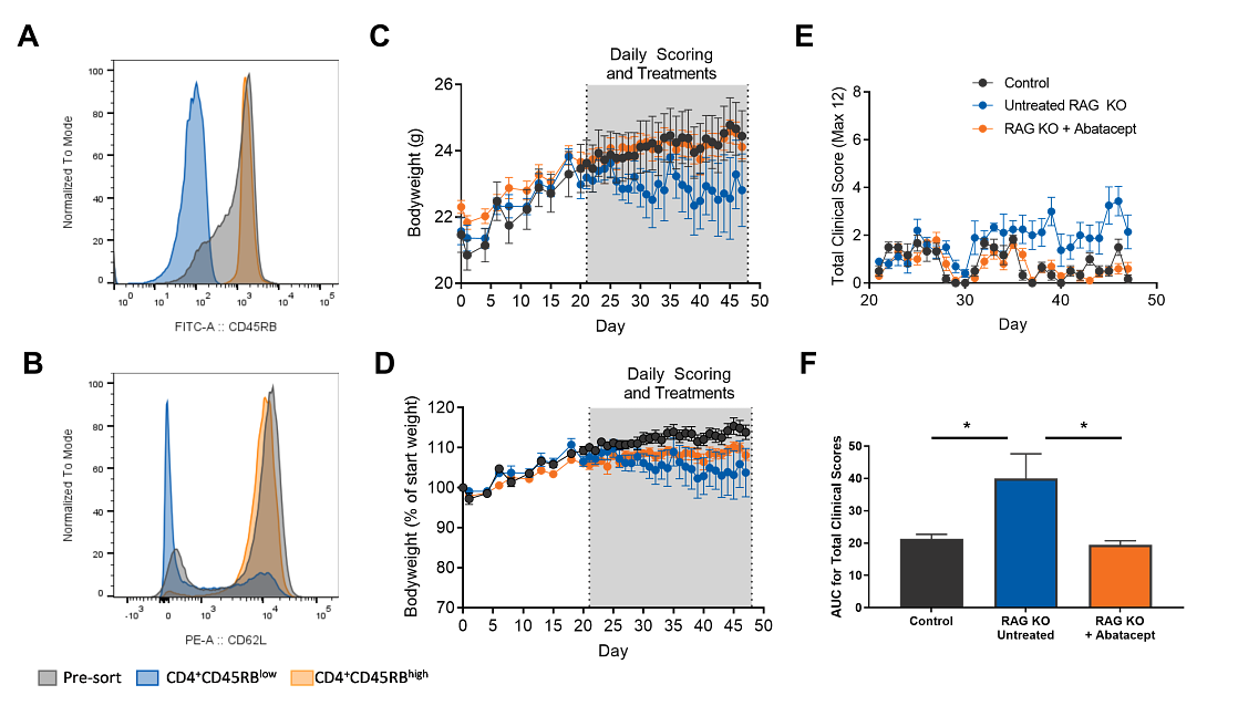 Pre-transfer T cell purity and clinical read-outs.