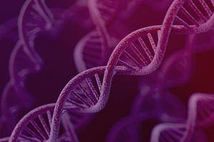 dna strand on a purple background