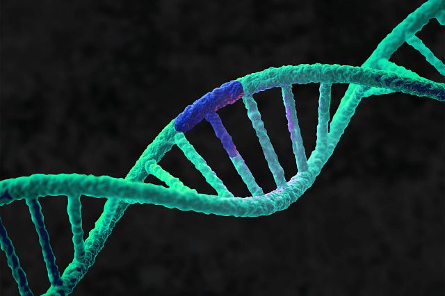 digital rendering of rare disease model