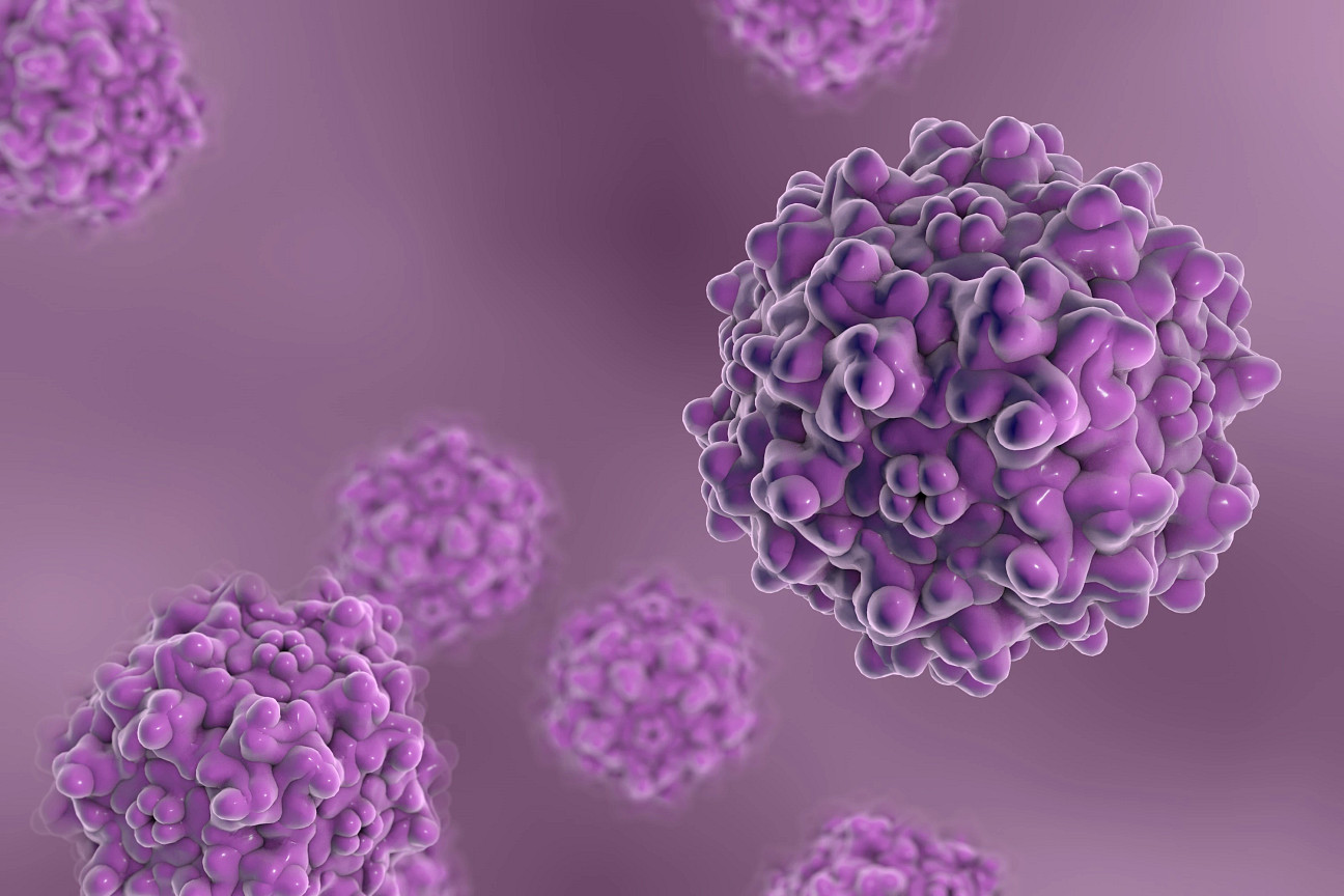 Purple background with virus illustration that represents the theme of the viral clearance and viral safety event.