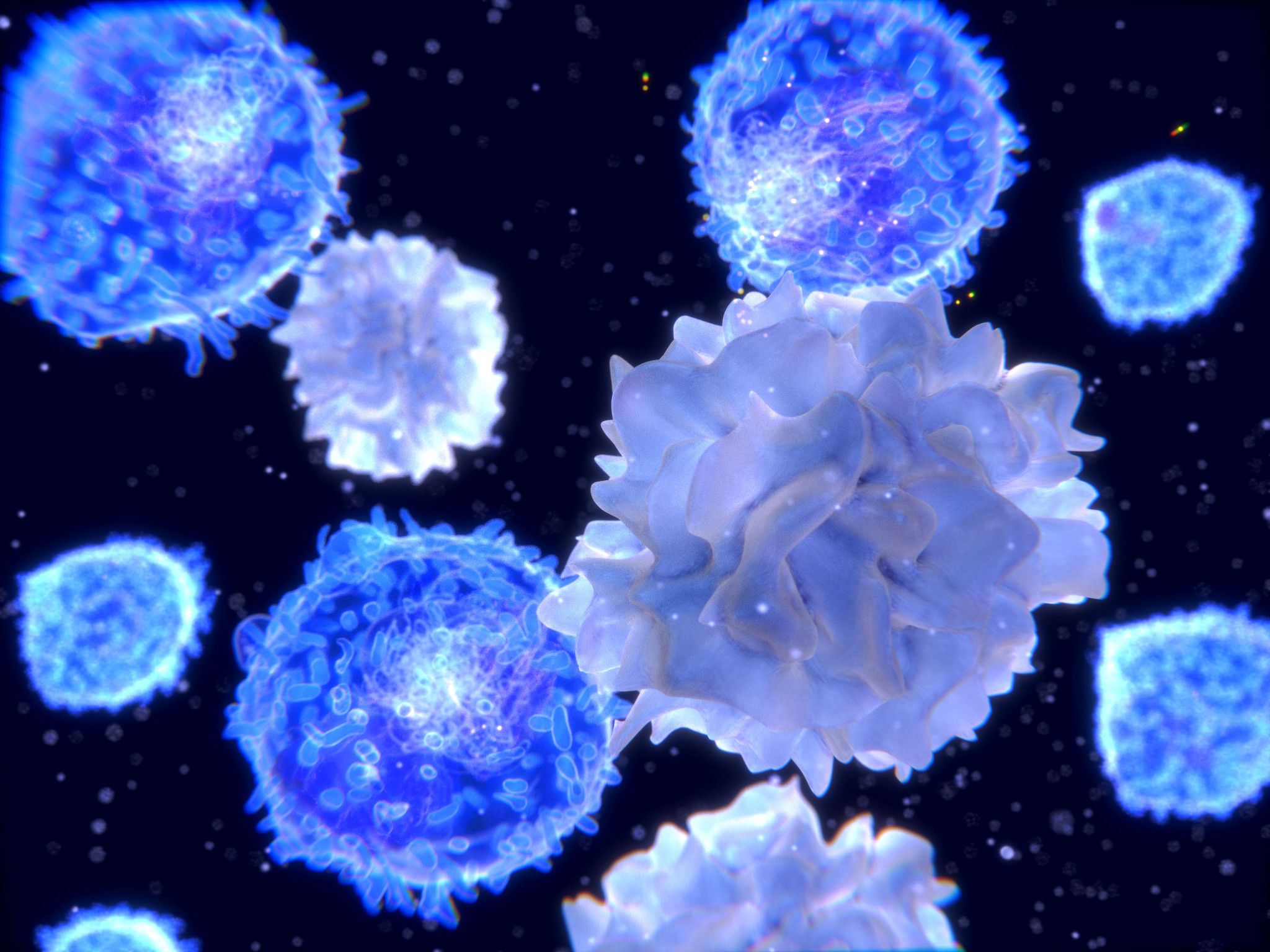 microscopic rending of t cells to show immunology services at CRL