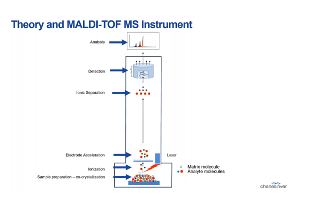 How does MALDI-TOF mass spectrometry work? | Charles River