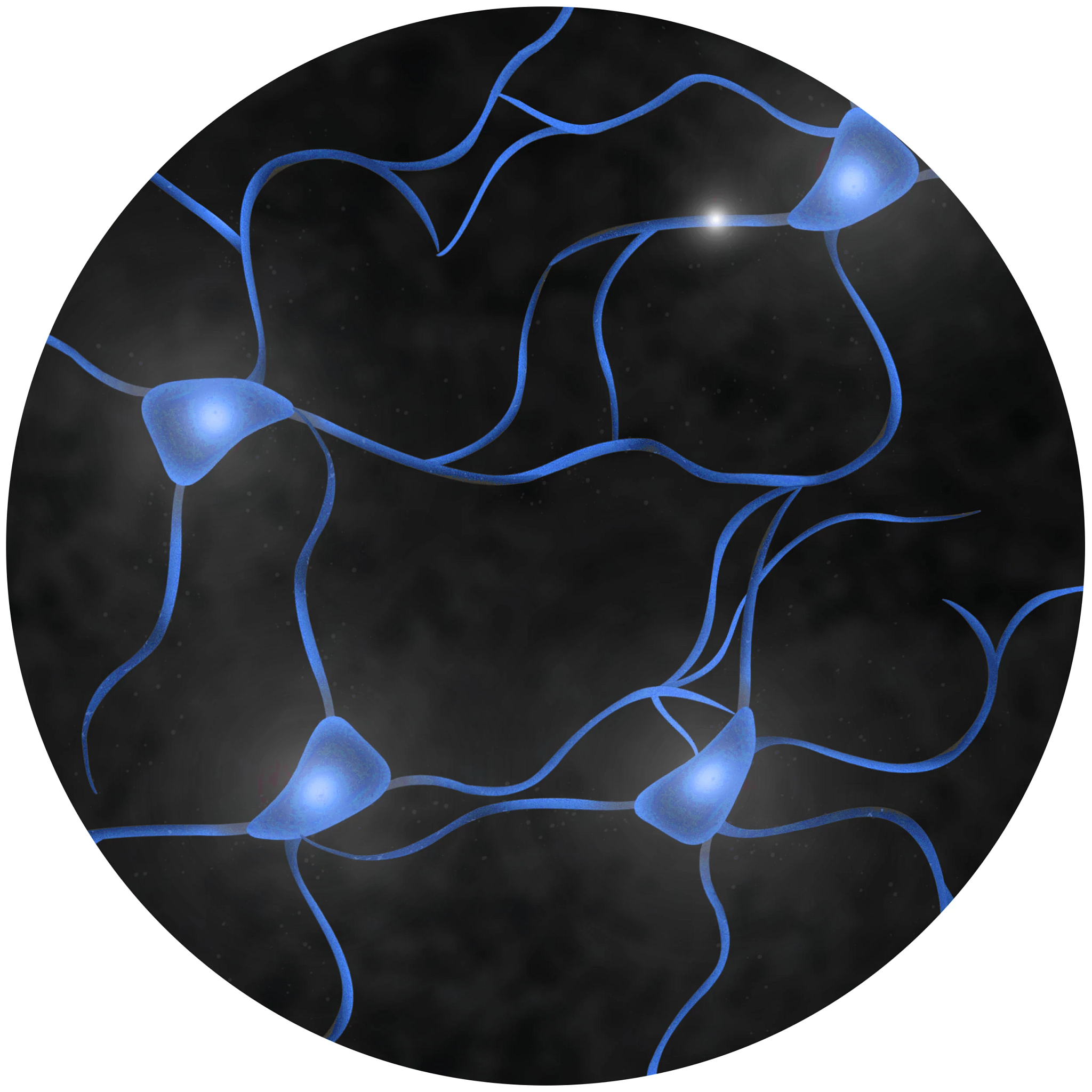 Image of blue neurons on black background that would be found in seizure or epilepsy, to represent the neuroscience in vivo models offered at Charles River.