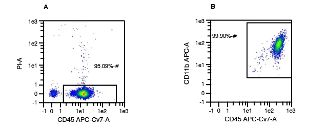 CD45 and Propidium Iodide (PI) are used to assess purity and viability of PBMCs and CD11b is the surface protein involved in adhesion between several different cell types and is expressed on the surface of monocytes, macrophages, and granulocytes.