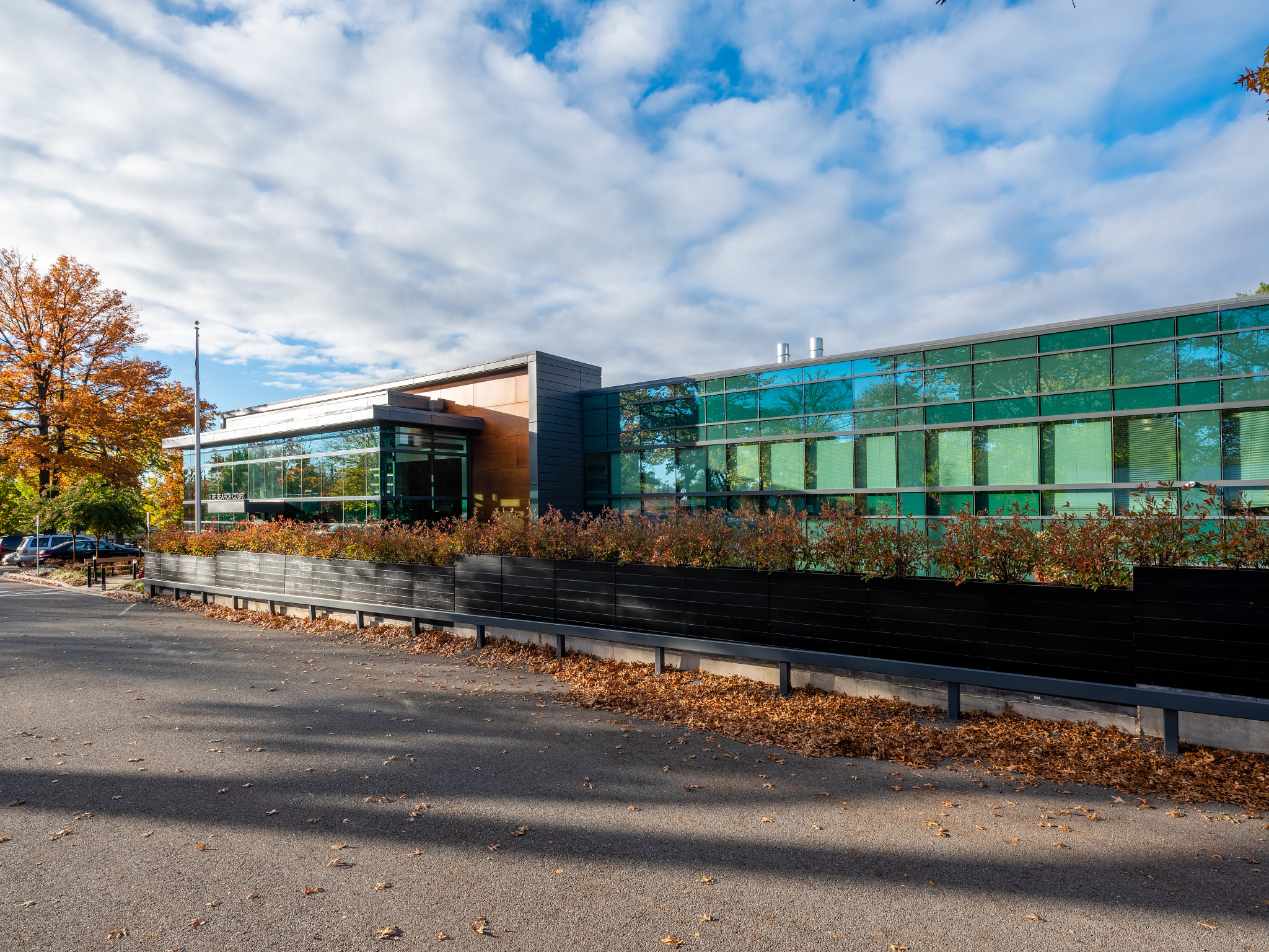 Plasmid and viral vector 3D illustration