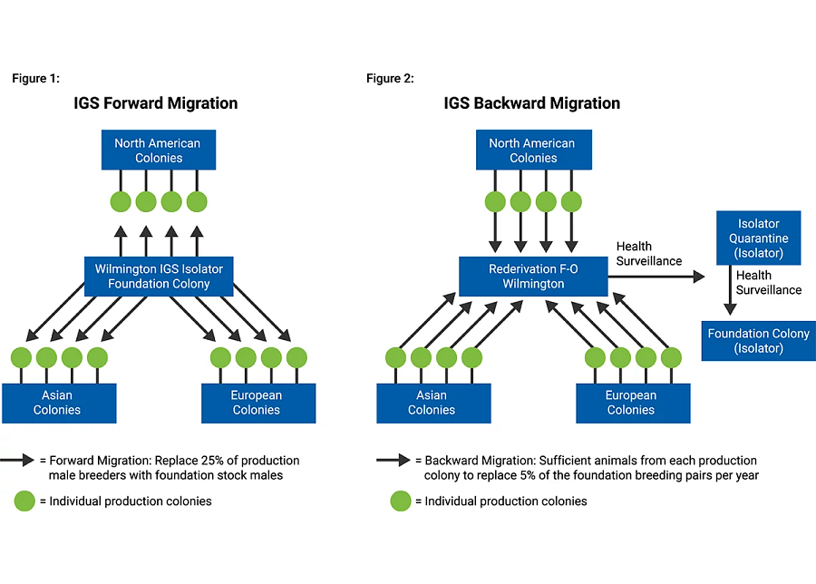 charts showing IGS migration