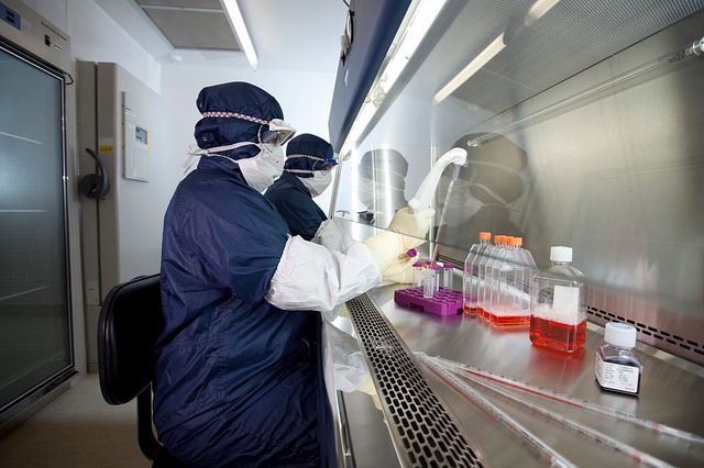 two Charles River scientists working on next-generation sequencing