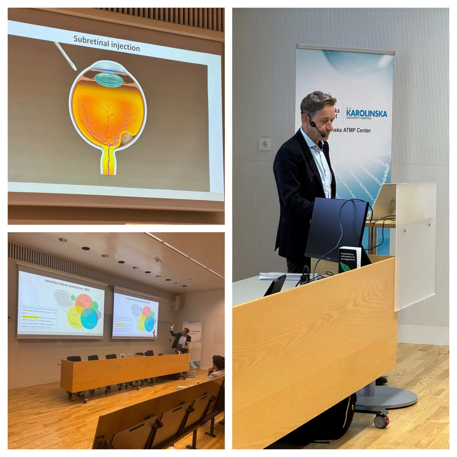 Anders Kvanta shares developments in gene therapy for inherited retinal degeneration.