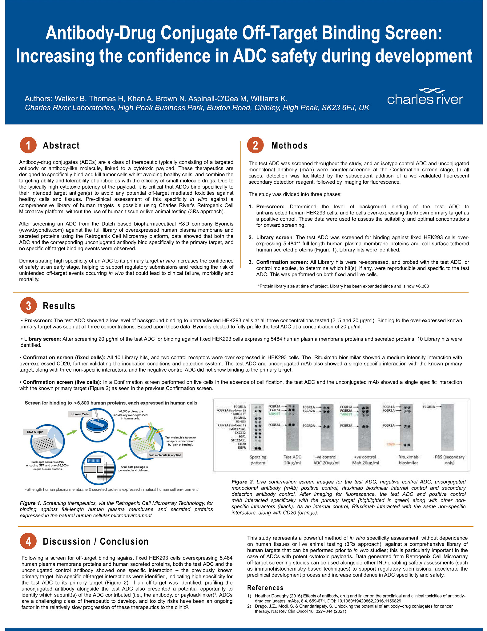 Antibody-Drug Conjugate Off-Target Binding Screen: Increasing the