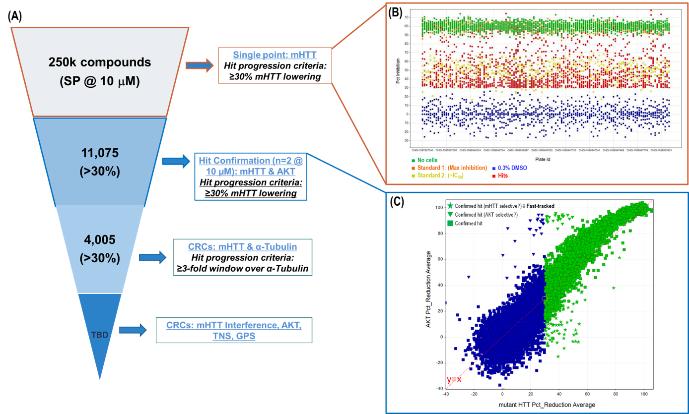 High-throughput screening services and compound libraries enable the rapid identification of small molecules with the potential to lower mHTT and treat Huntington’s disease.