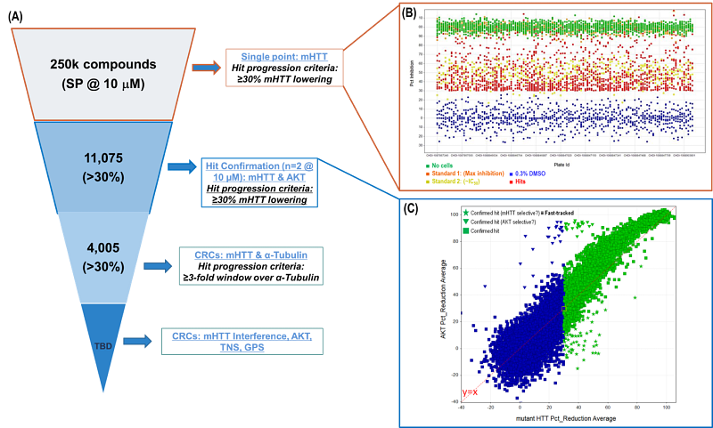High-throughput screening services and compound libraries enable the rapid identification of small molecules with the potential to lower mHTT and treat Huntington’s disease.