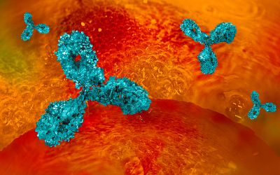 Monoclonal Antibody Manufacturing