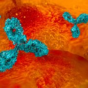 Charles River offers a comprehensive antibody discovery platform, including the Superhuman scFv phage display antibody library comprised of recombinant antibodies rAbs and the Tumbler antibody optimization technology.