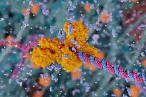 A graphic rendering of LINE-1 reverse transcriptase. Credit: MoA animation by Visual Science, 2023, and published by Baldwin et al. in Nature (doi 10.1038/s41586-023-06947-z)