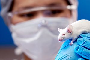 safety assesment workers at a lab meeting