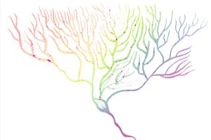 The Promise of Psychedelic Research.