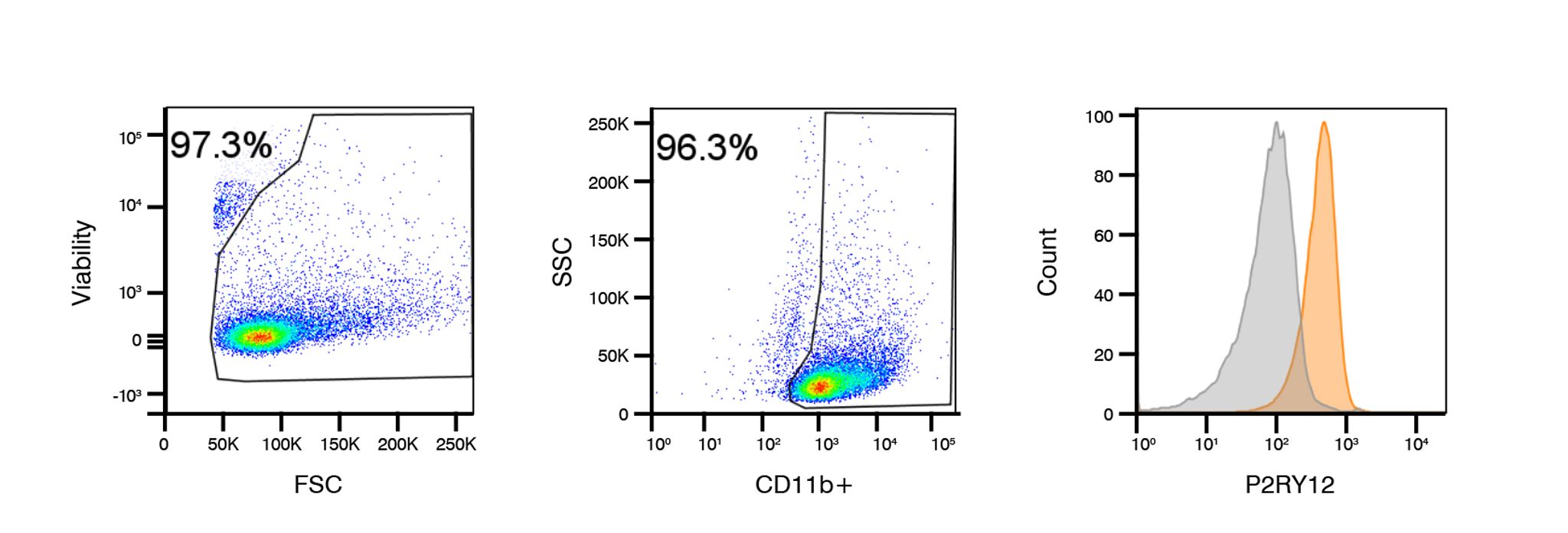 isolation and purification of microglia