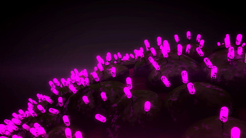Graphic images showing the binding of a test article to an overexpressed human protein in HEK293 cells using the Retrogenix Cell Microarray. Image on the right shows the fluorescence that shows binding.