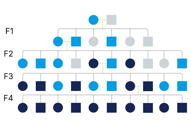 chart detail from genetic drift whitepaper