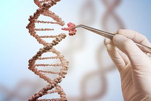 hand replacing part of a DNA molecule