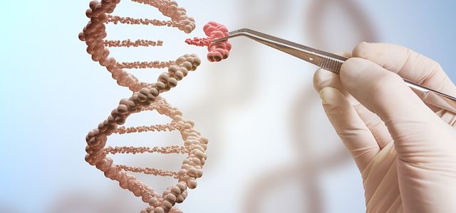 Genetic toxicology and Genetic engineering with gene manipulation image showing DNA helix editing. Hand is replacing part of a DNA molecule.