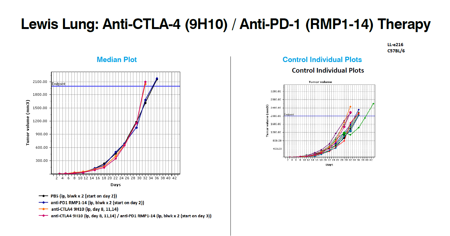 Lewis Lung Syngeneic Models Cancer Oncology Data