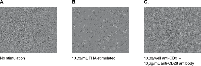 image with three graphics demonstrating varying degrees of stimulation