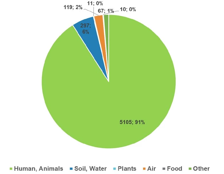 EMPQ Pie Chart.jpg