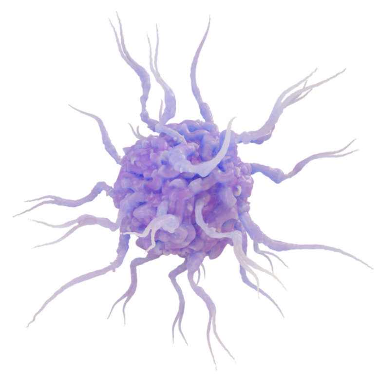 Dendritic Cells (DC Cells)