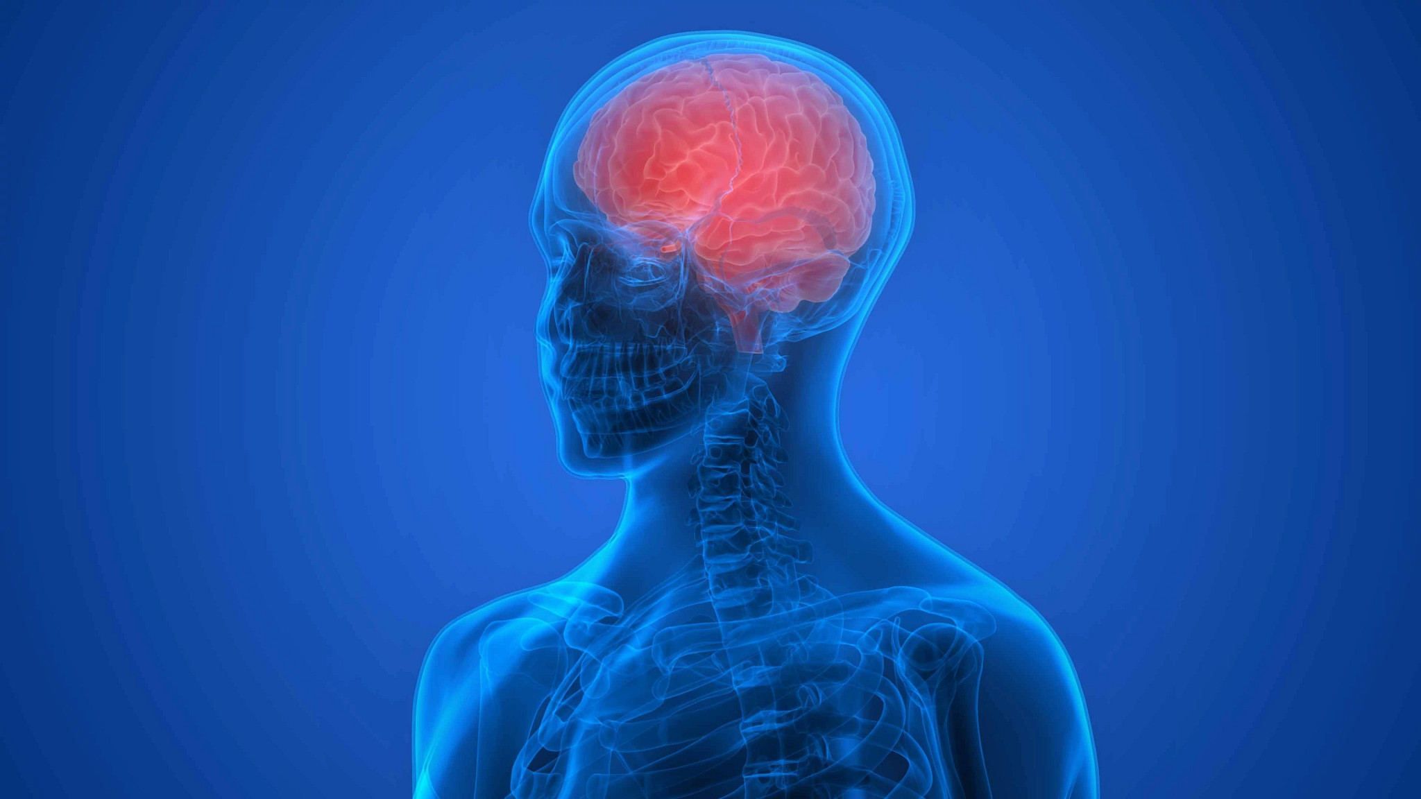 3D computer generated illustration of the human brain.