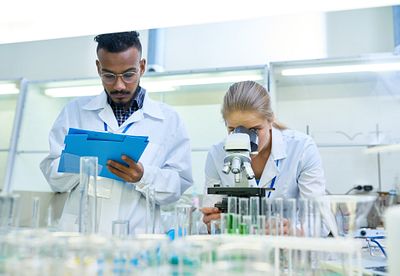 Scientists looking through a microscope.
