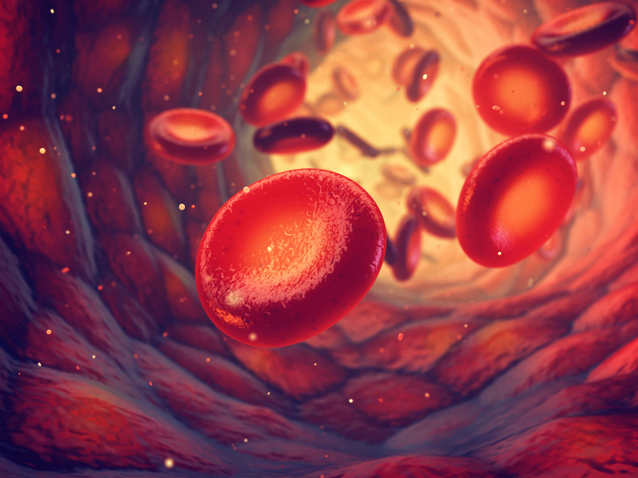 Circulatory system representing the effect of Cardiovascular and metabolic disease
