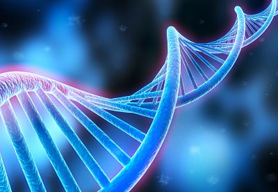 animated rendering of DNA double helix