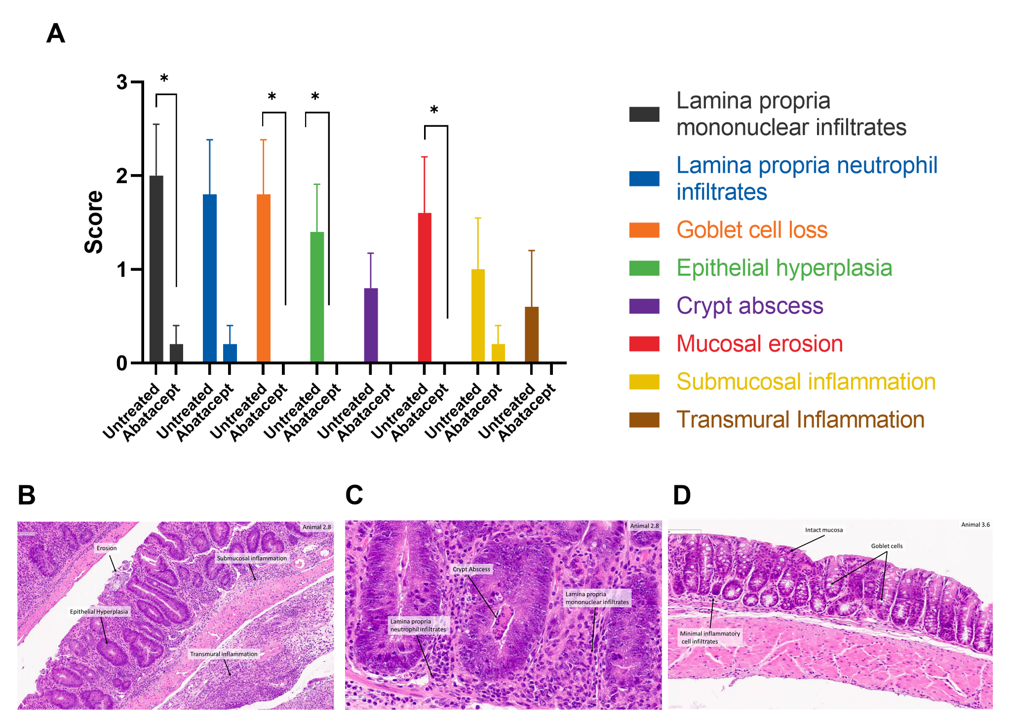 T Cell Transfer Model of Inflammatory Bowel Disease (IBD) | Charles River