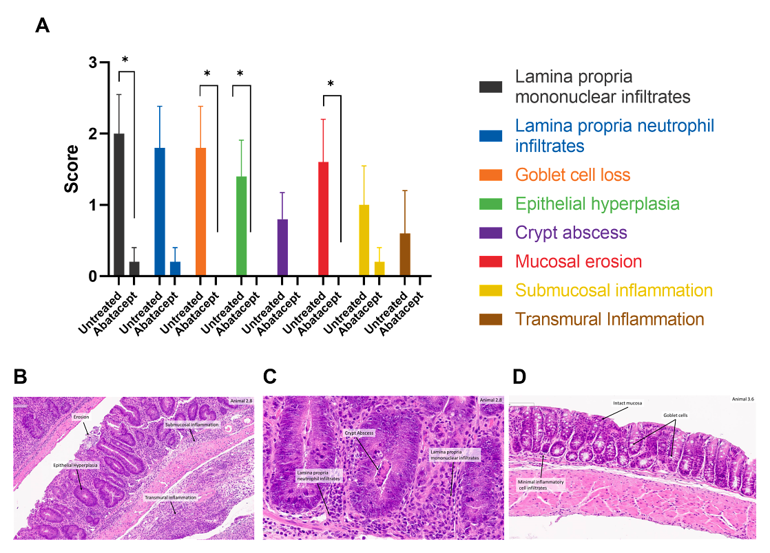 T Cell Transfer Model of Inflammatory Bowel Disease (IBD) | Charles River