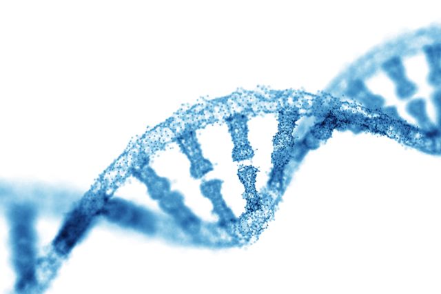 Next Generation Sequencing or NGS, involves sequencing millions of small fragments of DNA together simultaneously