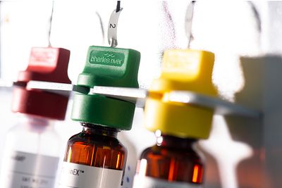 Bottles of Reagent