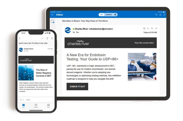 MS_2025_The-Micro-Landing-page-ReVAMP-iphone-ipad.jpg