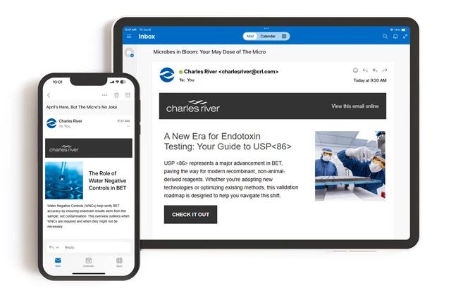 MS_2025_The-Micro-Landing-page-ReVAMP-iphone-ipad.jpg