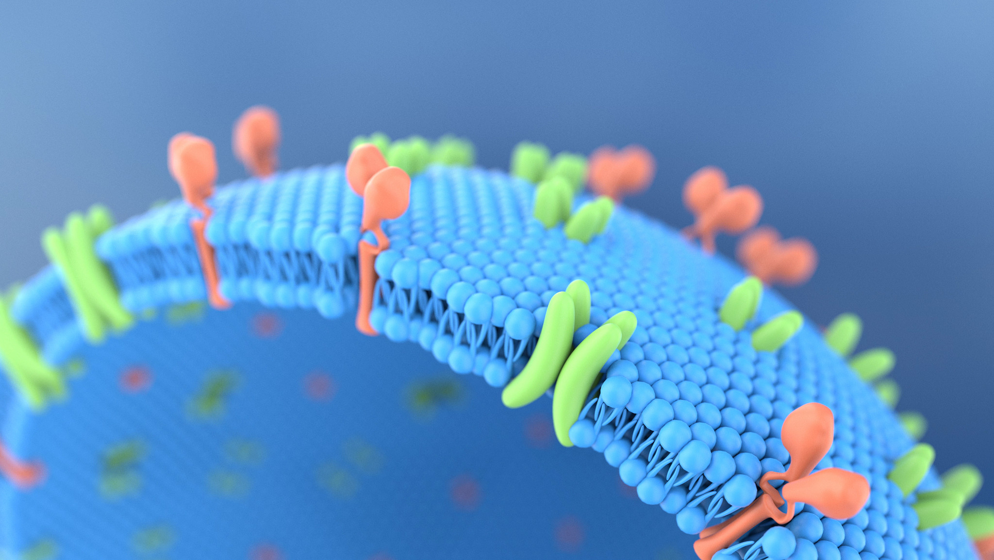 3D illustration of a cell membrane.