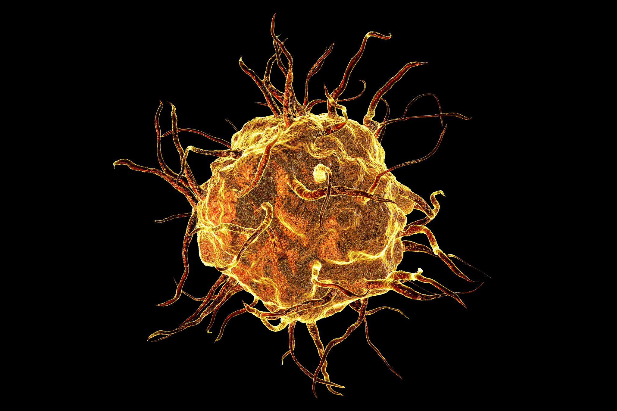 Macrophage cell isolated on black background, monocyte, close-up view of immune cell, 3D illustration